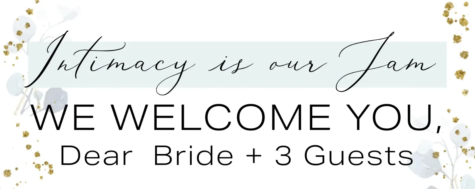 guest liming for brial shopping appointments and ridal gown shopping tips