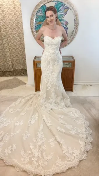 Pronovias BR273 BR273 #1 thumbnail