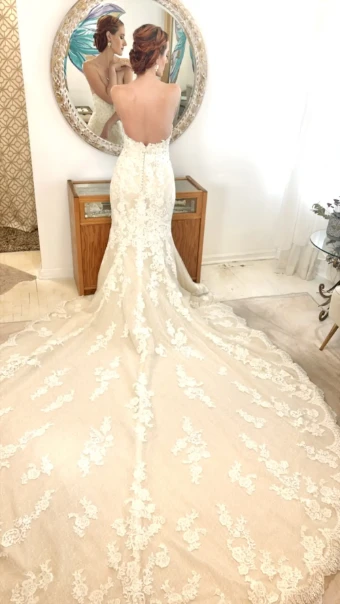 Pronovias BR273 BR273 #2 thumbnail