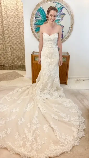 Pronovias BR273 BR273 #4 thumbnail